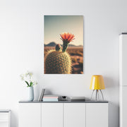 Golden Hour Desert Cactus Blossom Wall Art & Canvas Prints