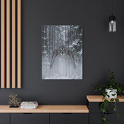 Great Grey Owl Winter Flight Wall Art & Canvas Print