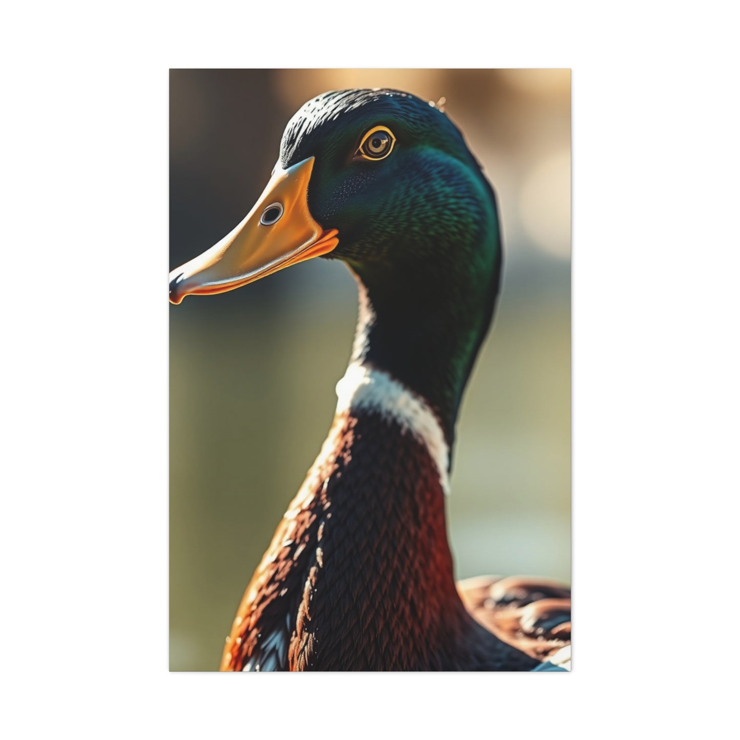 Supreme Duck Art Beautiful Collection Wall Art & Canvas Print
