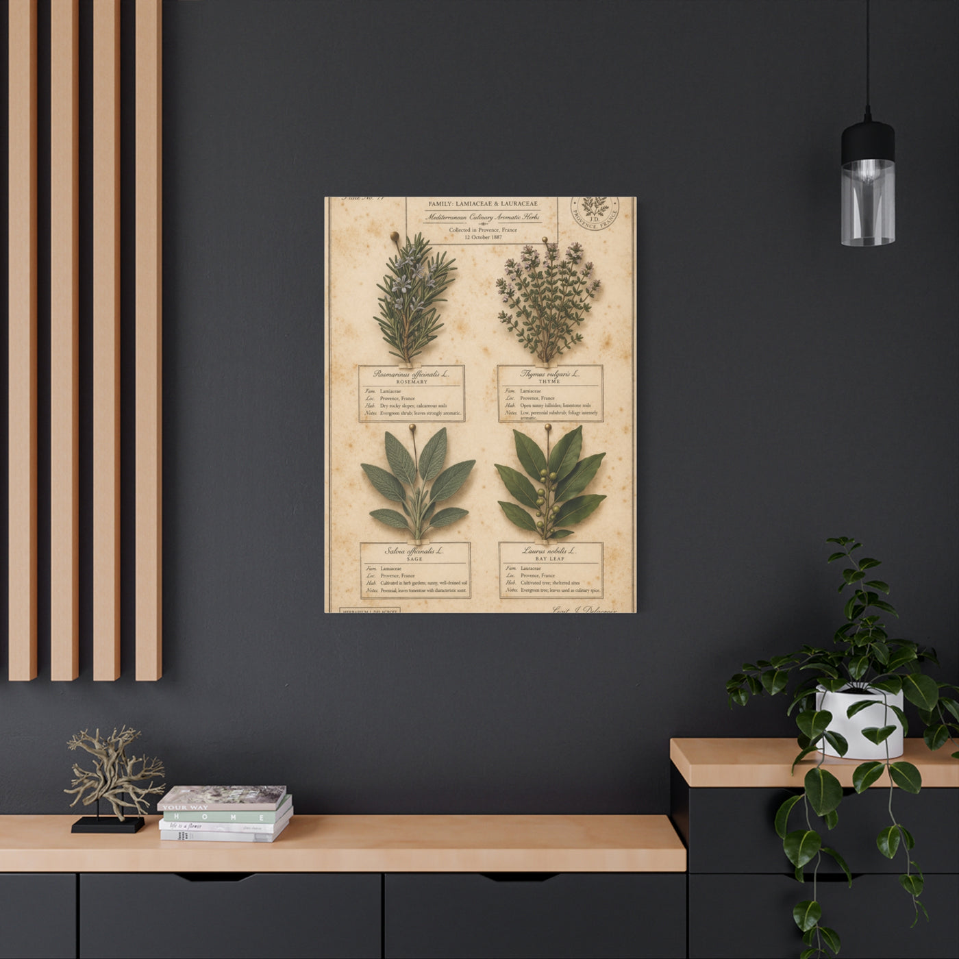 Vintage Herbarium Culinary Study Wall Art & Canvas Print