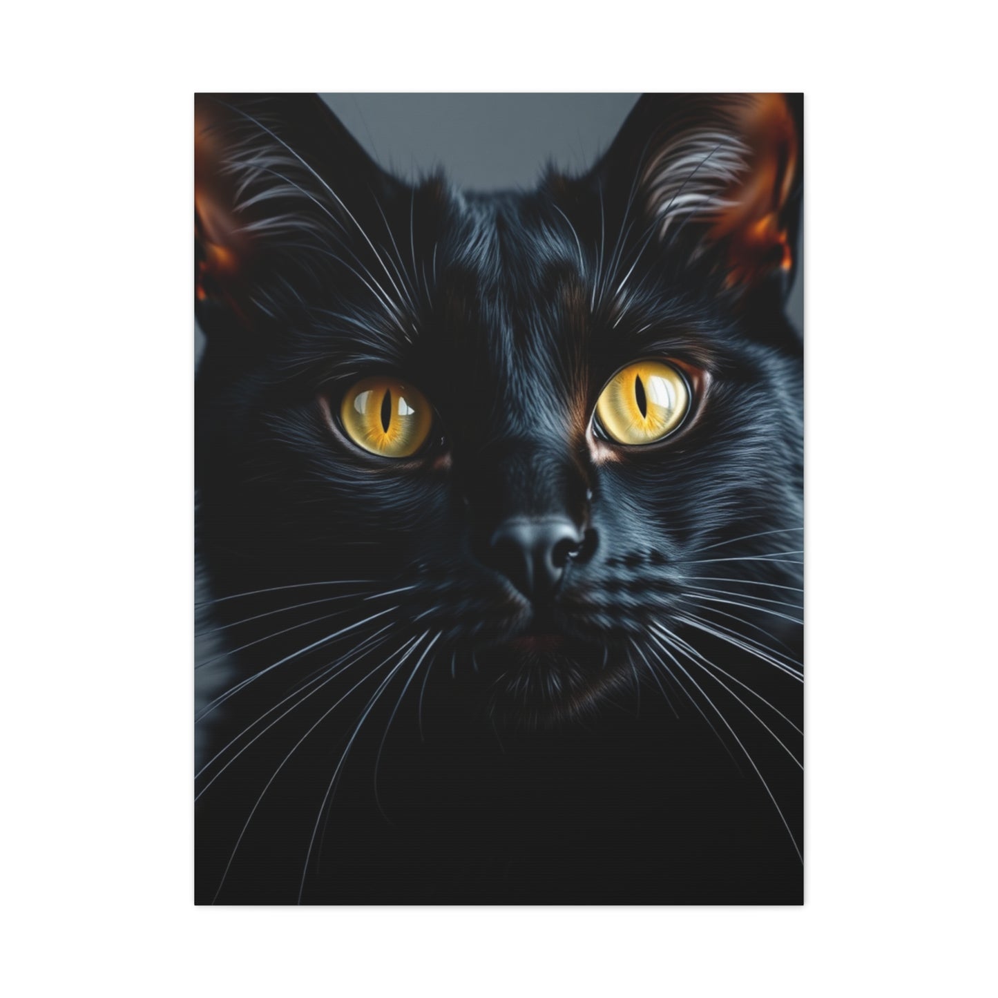 Supreme Black Cat Art Beautiful Collection Wall Art & Canvas Print