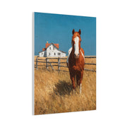 Chestnut Horse Farm Meadow Wall Art & Canvas Print