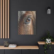 Horse Eye Macro Emotional Detail Wall Art & Canvas Print