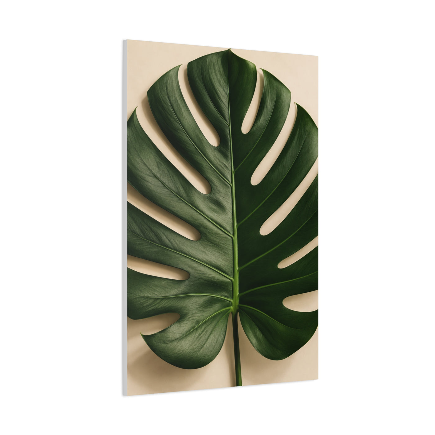 Minimal Monstera Leaf Botanical Tropical Wall Art & Canvas Print