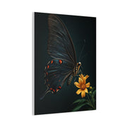 Midnight Black Butterfly On Wildflower Wall Art & Canvas Prints