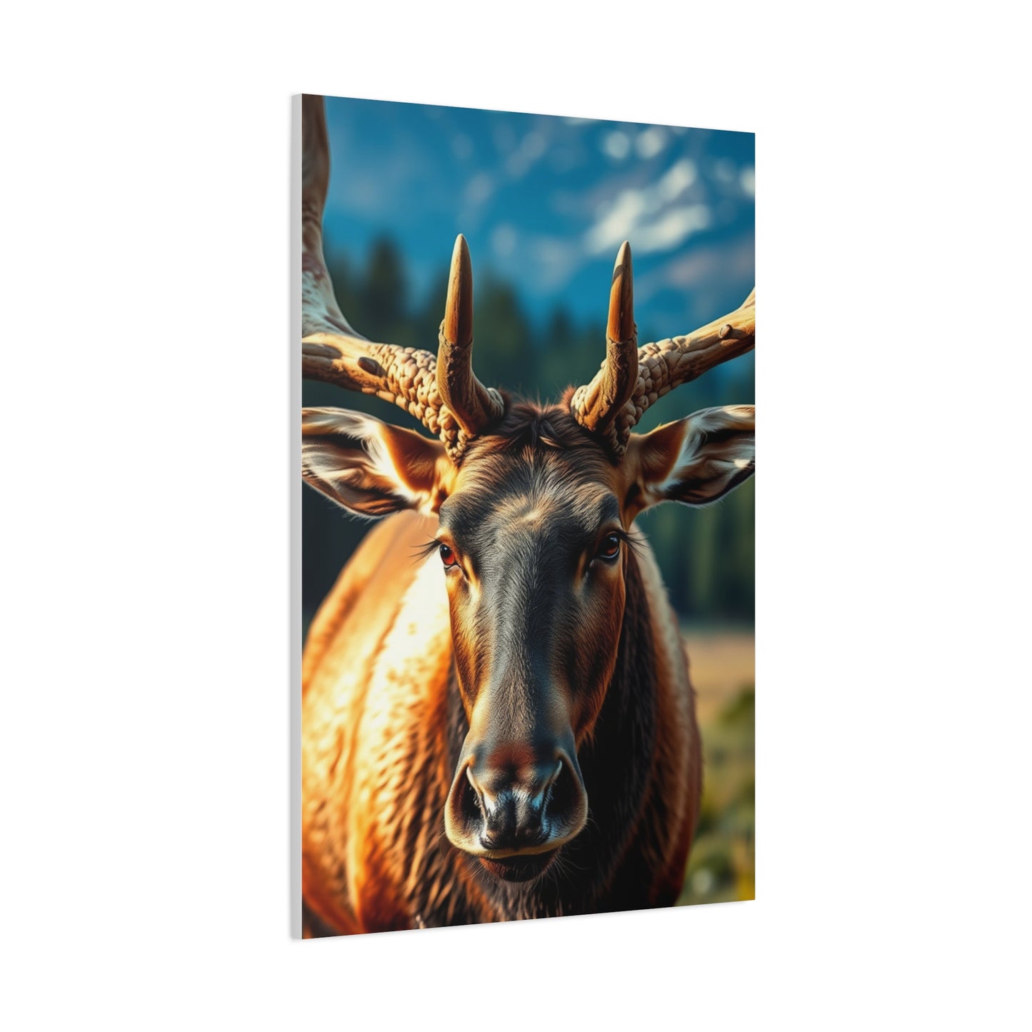 Supreme Elk Art Beautiful Collection Wall Art & Canvas Print
