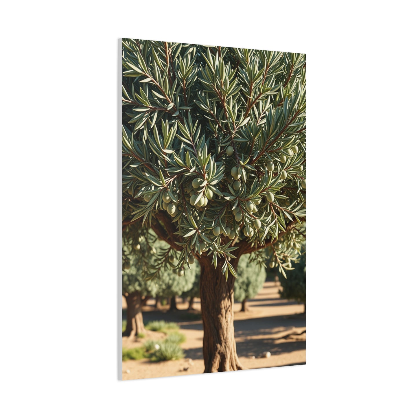 Olive Tree Art Supreme Canvas Wall Art & Canvas Print