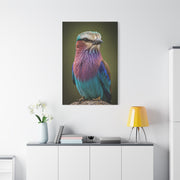 Lilac-Breasted Roller Serenity Wall Art & Canvas Prints