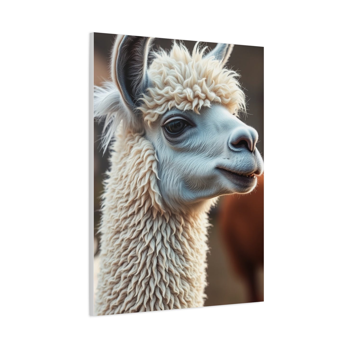 Collection Llama & Alpaca Art Art Wall Art & Canvas Print