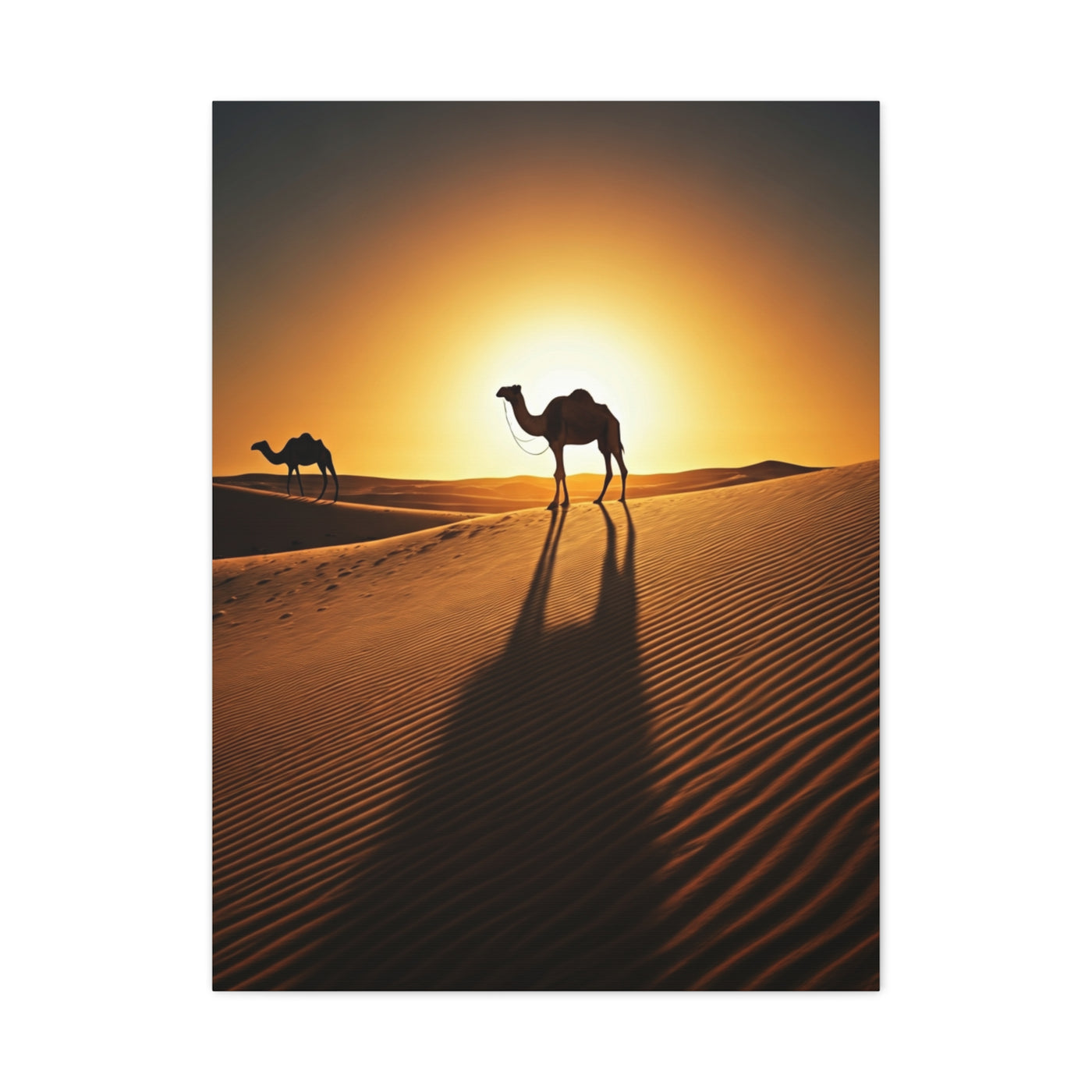 Lone Ostrich in Desert Sunset Wall Art & Canvas Prints
