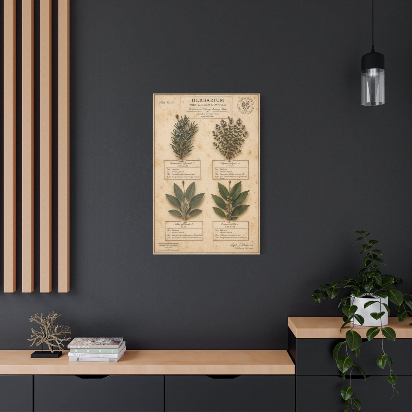Vintage Herbarium Culinary Study Wall Art & Canvas Print