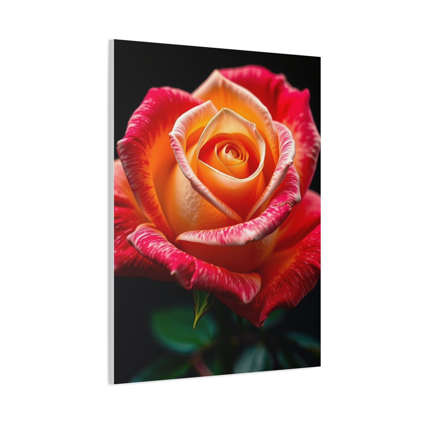 Supreme Rose Art Beautiful Collection Wall Art & Canvas Print