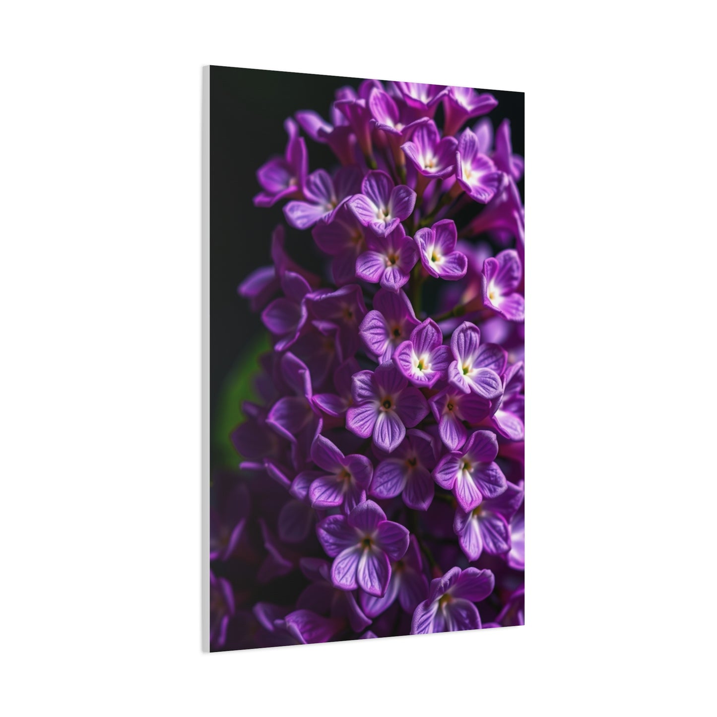 Masterpiece Lilac Flower Art Vision Wall Art & Canvas Print
