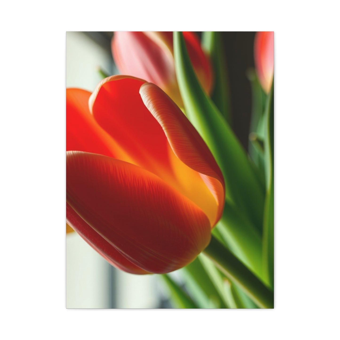 Supreme Tulip Flower Art Beautiful Collection Wall Art & Canvas Print