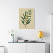 Olive Branch Study Wall Art & Canvas Prints