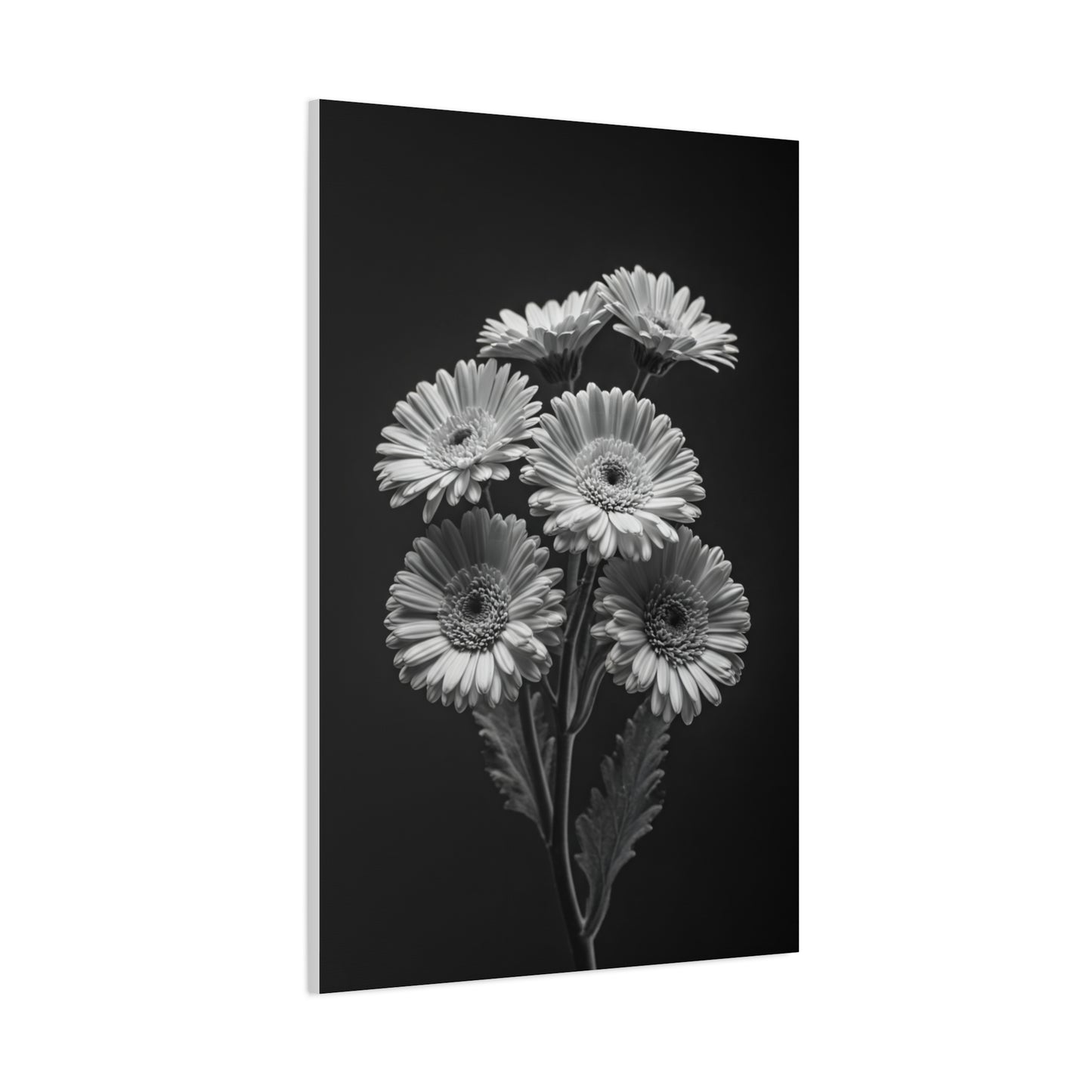 Clustered Daisy Bouquet Wall Art & Canvas Prints