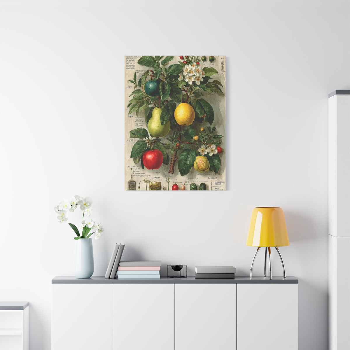 Antique Pomology Botanical Study Wall Art & Canvas Print