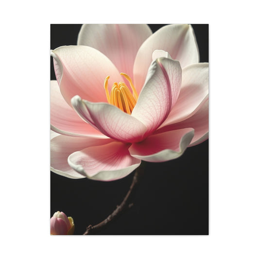 Magnolia Art Supreme Canvas Wall Art & Canvas Print