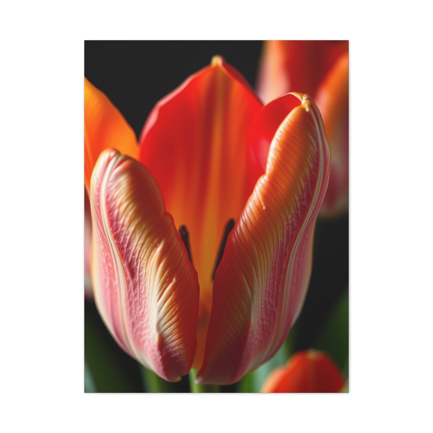 Vision Tulip Flower Art Art Wall Art & Canvas Print