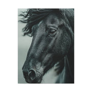 Black Stallion Close Portrait Wall Art & Canvas Print