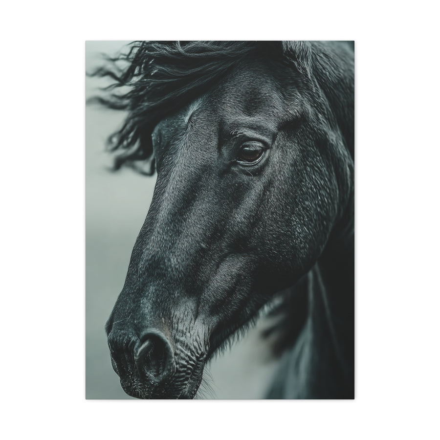 Black Stallion Close Portrait Wall Art & Canvas Print