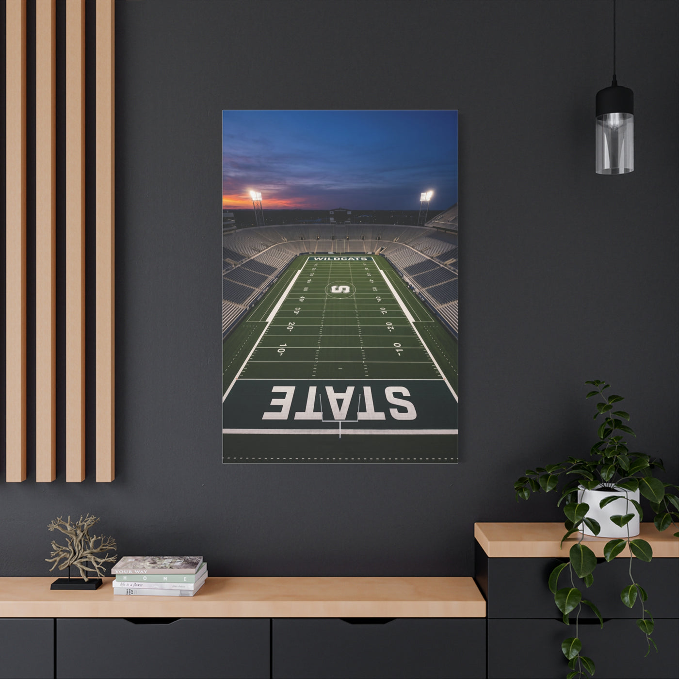Stadium Under Lights Panorama Sports Wall Art & Canvas Print