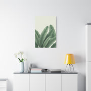 Tropical Banana Leaves Minimal Botanical Wall Art & Canvas Prints