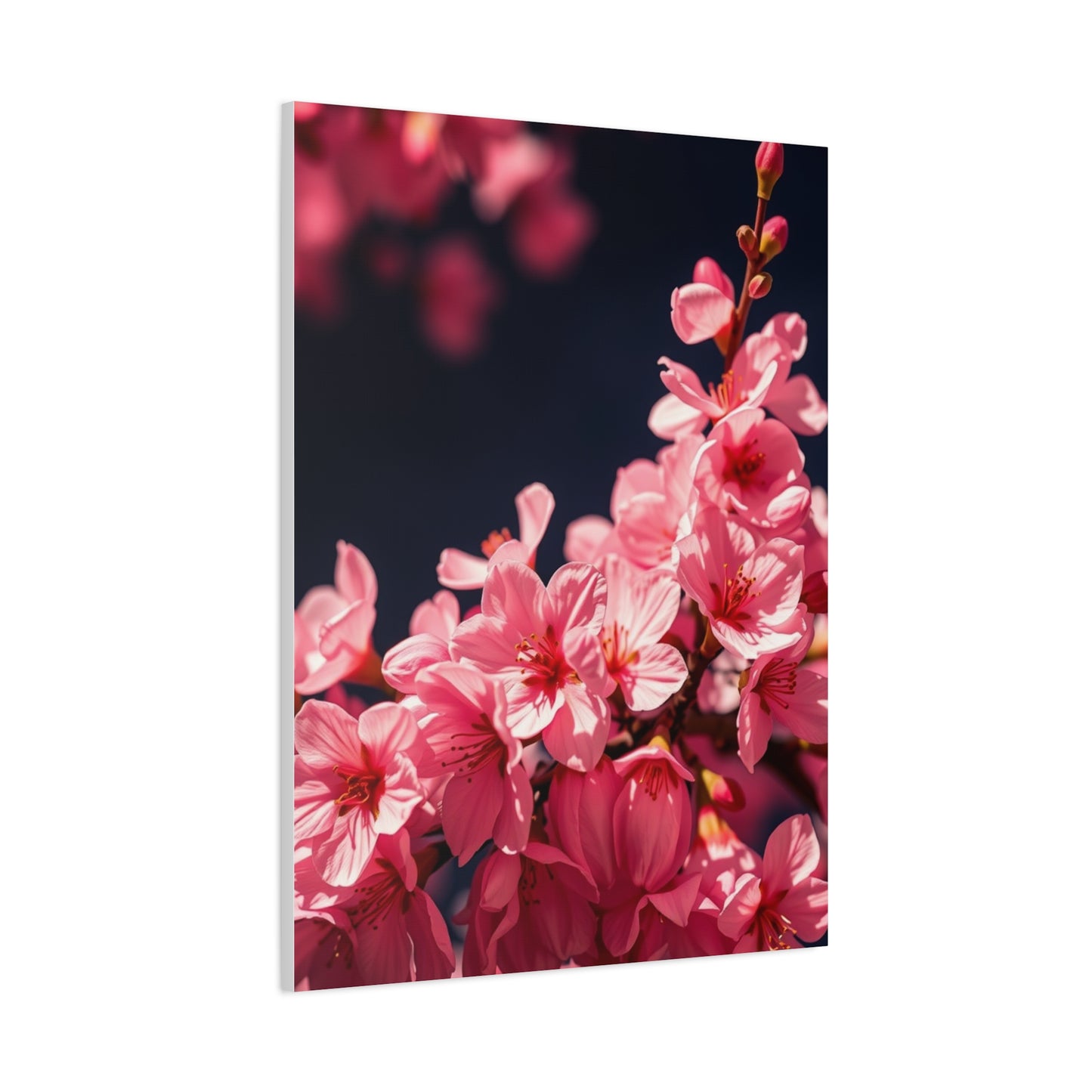 Elite Cherry Blossom Wall Art Vision Wall Art & Canvas Print