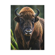 American Bison in Prairie Grass Portrait Wall Art & Canvas Print