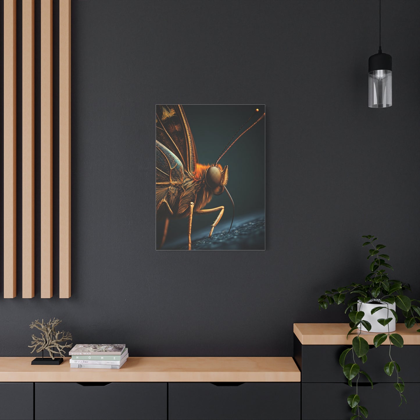 Butterfly Macro Anatomy Close-Up Wall Art & Canvas Prints
