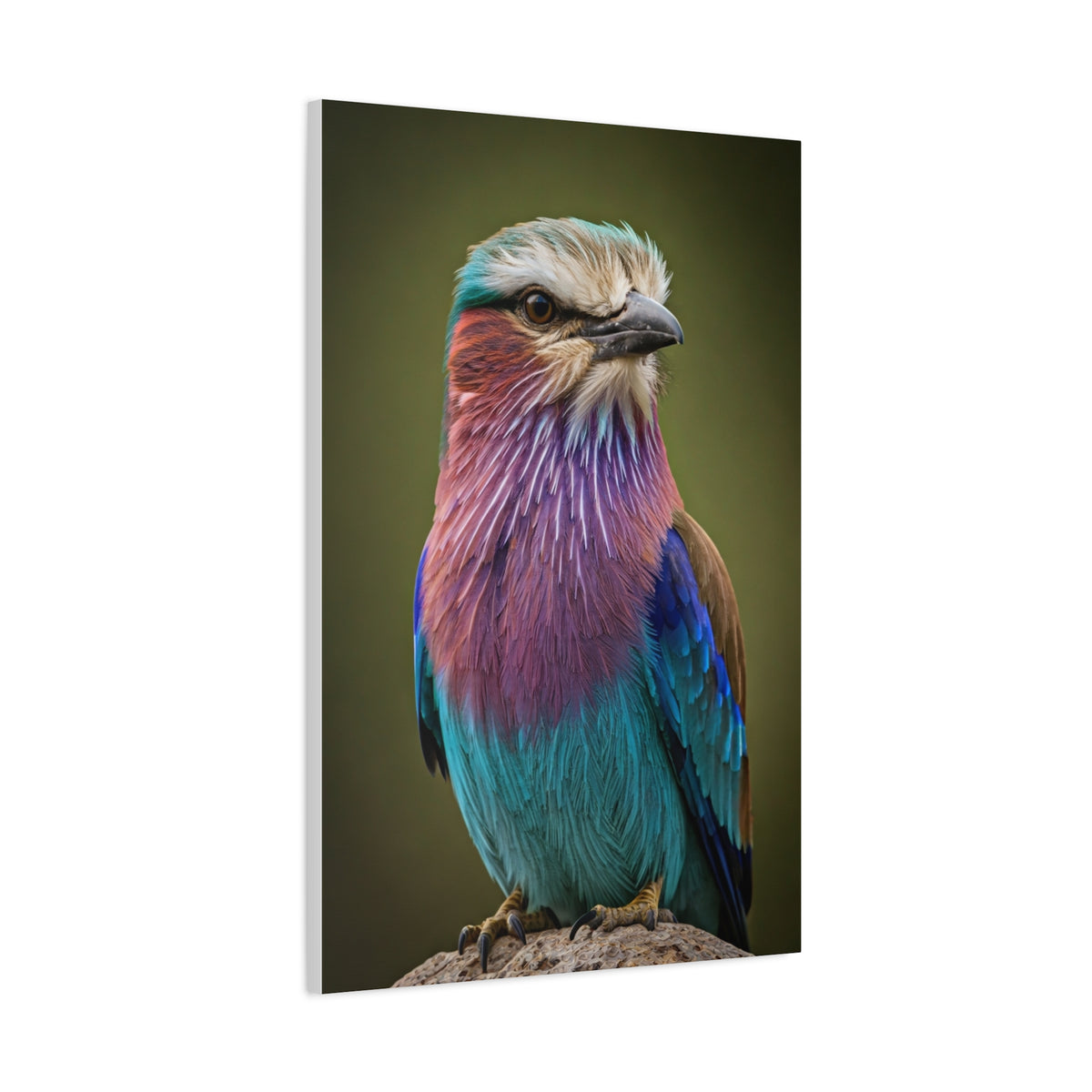 Lilac-Breasted Roller Serenity Wall Art & Canvas Prints