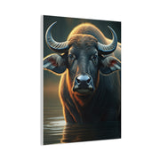 Golden Rim-Lit Buffalo Emerging from Water Wall Art & Canvas Print