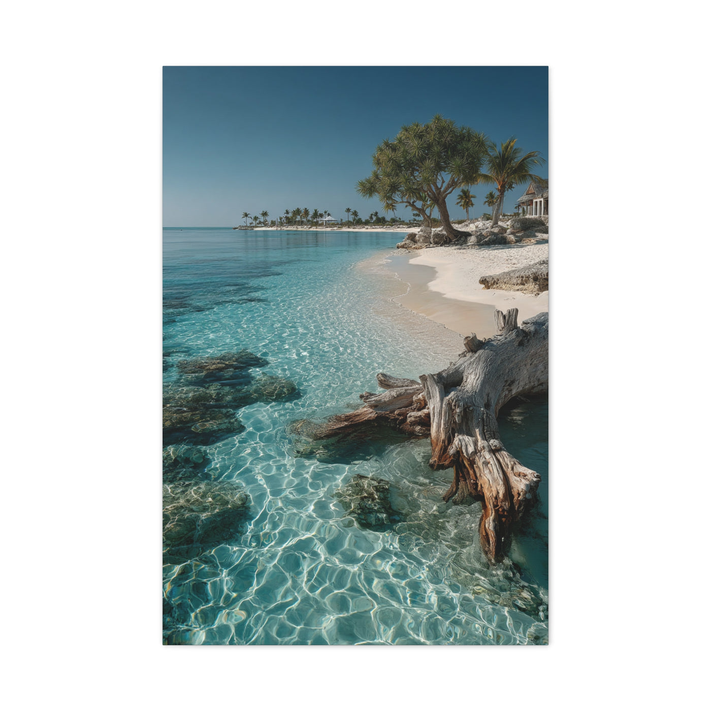 Tropical Driftwood Cove Wall Art & Canvas Print
