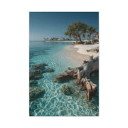 Tropical Driftwood Cove Wall Art & Canvas Print