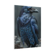 Enchanted Rune Raven Wall Art & Canvas Print
