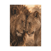 Lion and Lioness Intimate Bond Wall Art & Canvas Print