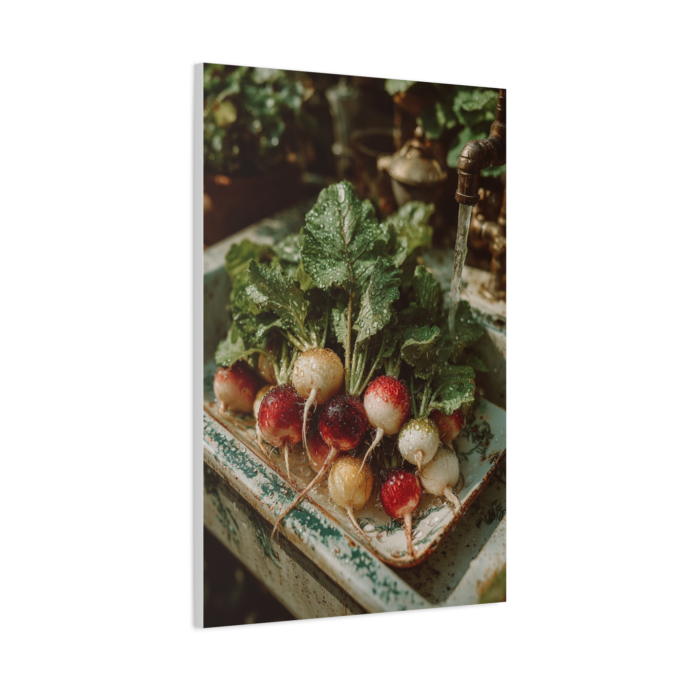 Fresh Garden Radishes Farm Sink Wall Art & Canvas Print