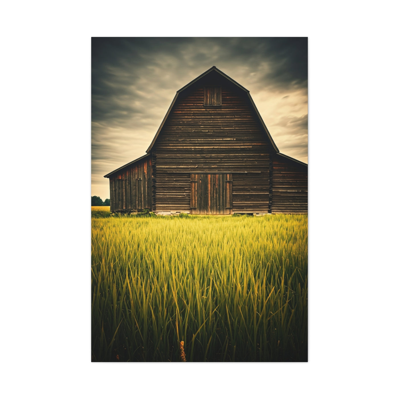 Weathered Barn in Tall Green Fields Wall Art & Canvas Prints