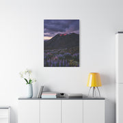 Volcanic Twilight & Wild Lupines Wall Art & Canvas Print