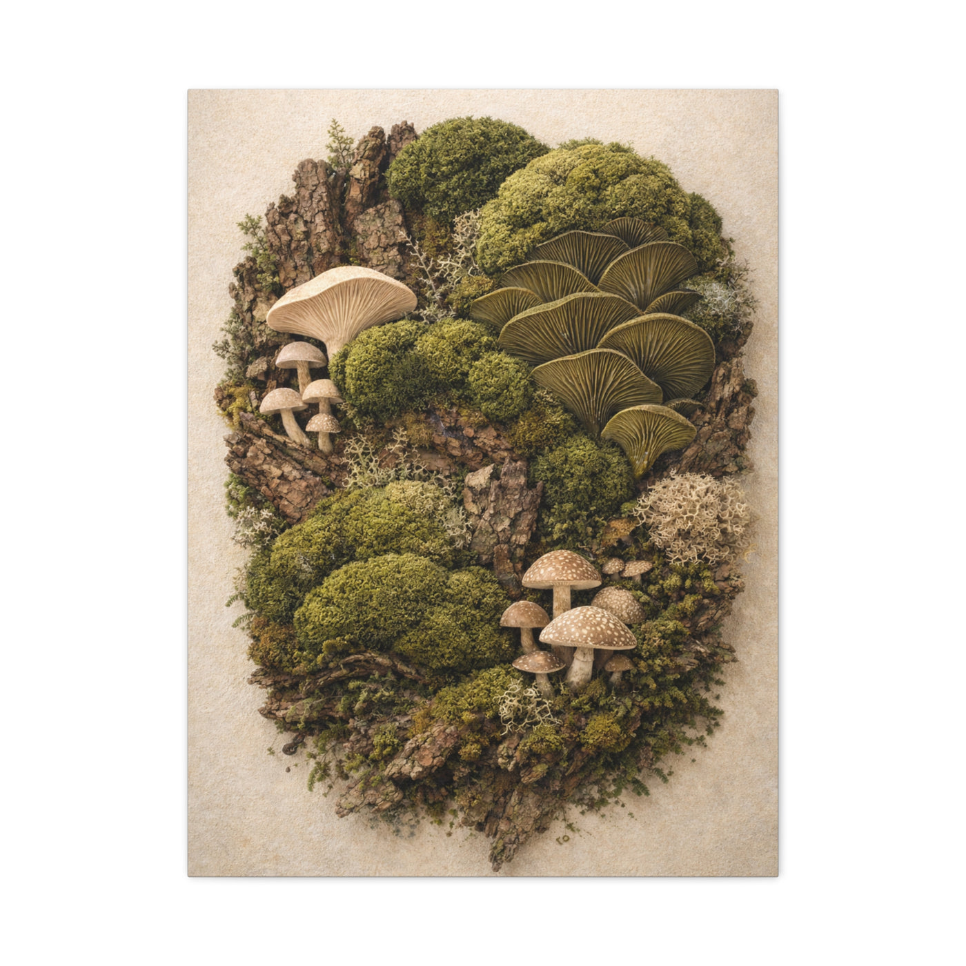 Preserved Moss & Fungi Woodland Collage Wall Art & Canvas Print