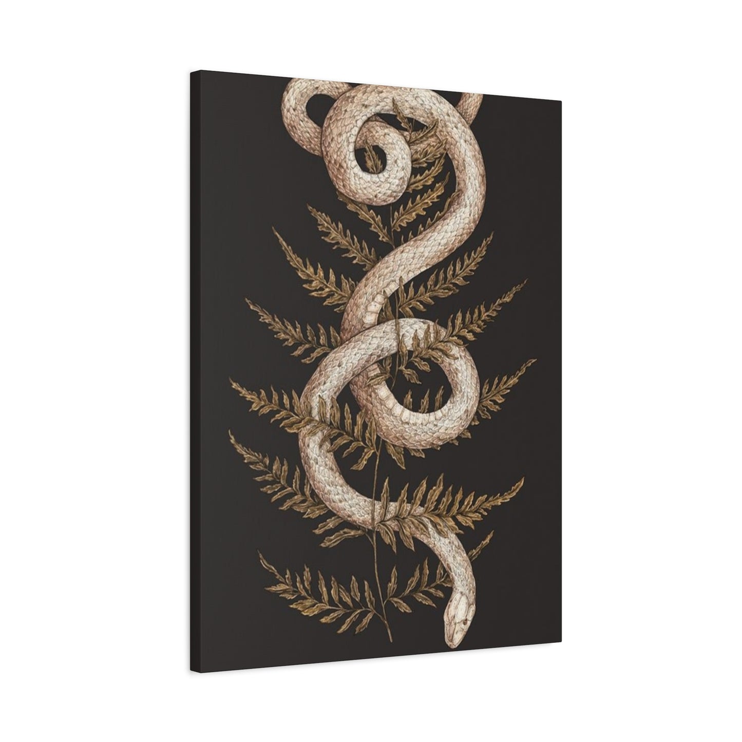 White Snake Wall Art & Canvas Prints