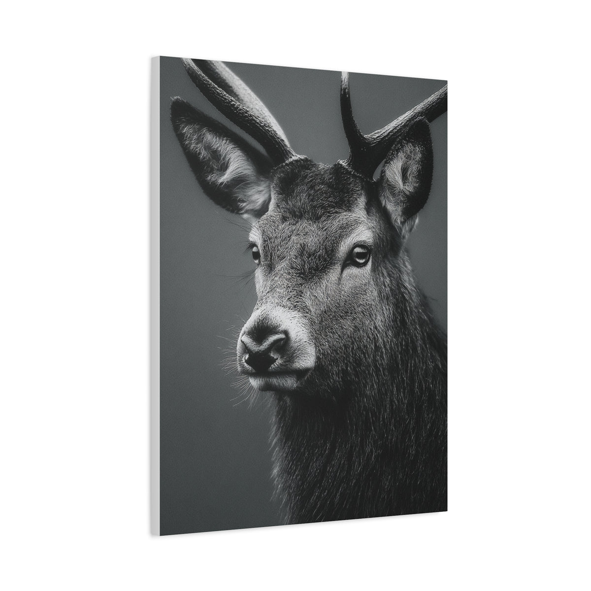 Highland Stag Moonlight Profile Wall Art & Canvas Print