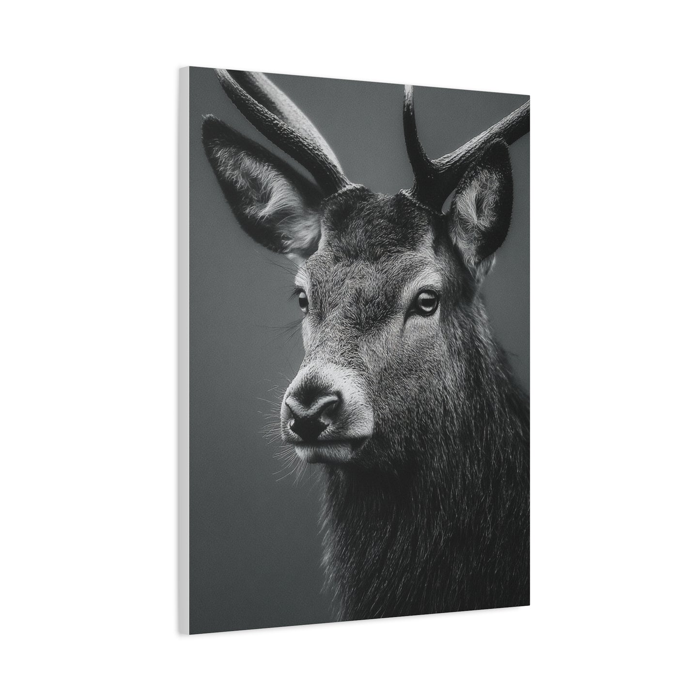 Highland Stag Moonlight Profile Wall Art & Canvas Print