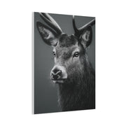Highland Stag Moonlight Profile Wall Art & Canvas Print