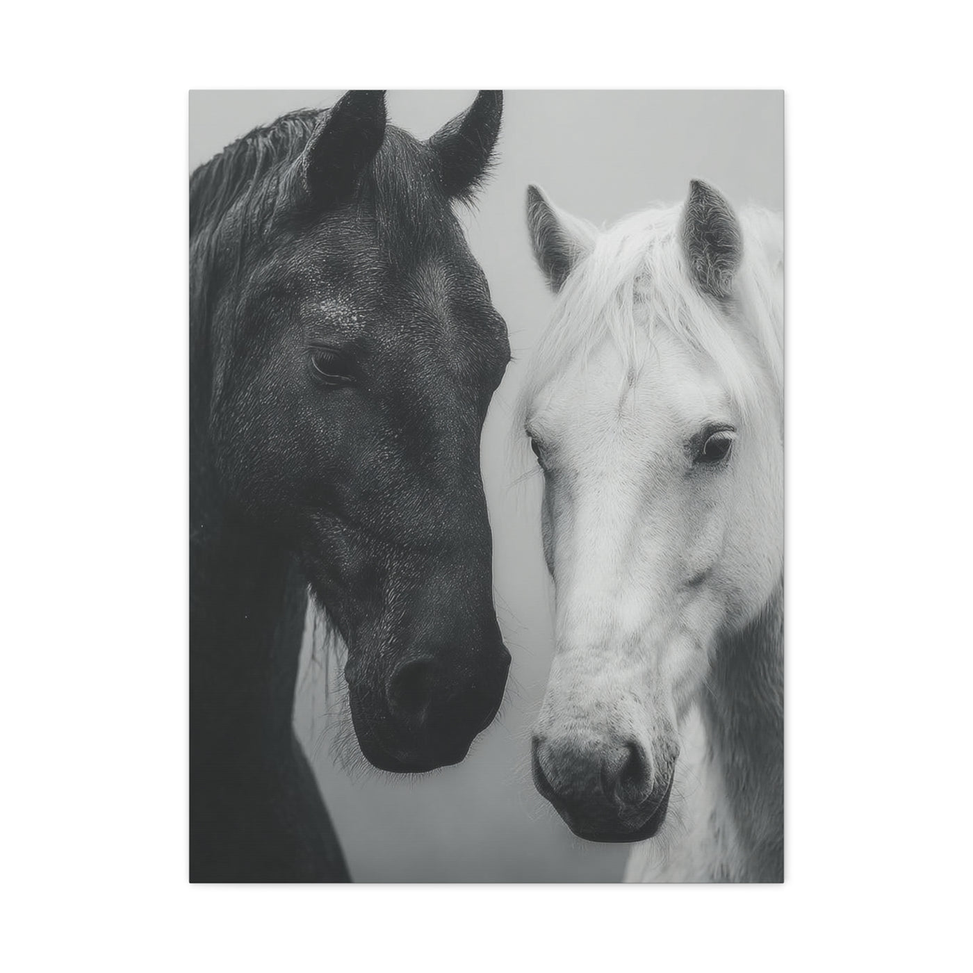 Intimate Dual Horse Monochrome Wall Art & Canvas Print