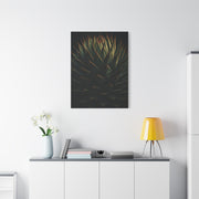 Emerald Agave Close-Up Wall Art & Canvas Prints
