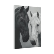 Intimate Dual Horse Monochrome Wall Art & Canvas Print