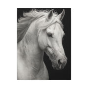 White Horse Fine Art Portrait Wall Art & Canvas Print