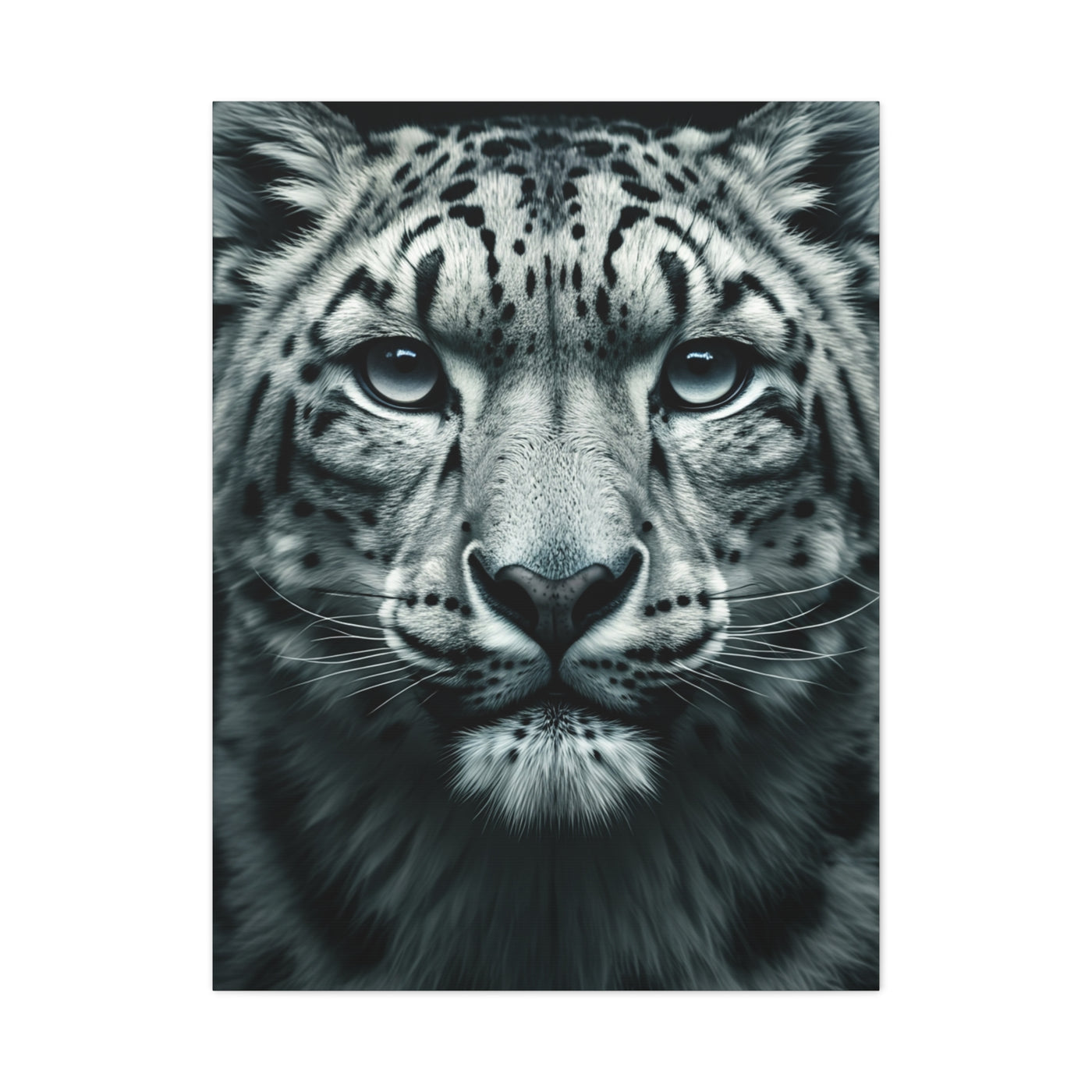Snow Leopard Intense Gaze Wall Art & Canvas Prints