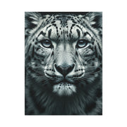 Snow Leopard Intense Gaze Wall Art & Canvas Prints